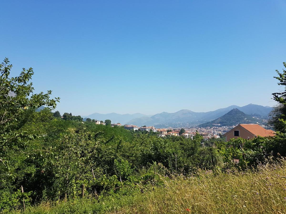 Villa Vicinus - 120 Mq - Parking - Garden Vietri Bagian luar foto