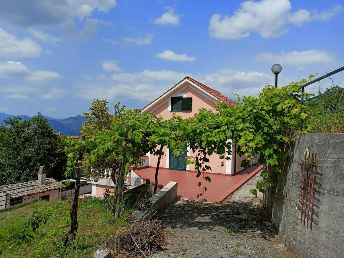 Villa Vicinus - 120 Mq - Parking - Garden Vietri Bagian luar foto